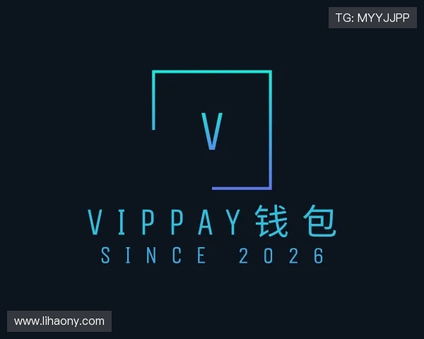 认识VipPay钱包